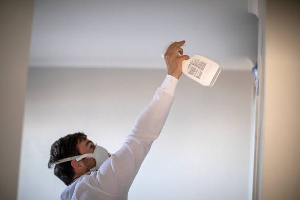 Best Commercial Mold Removal  in Cutler Bay, FL