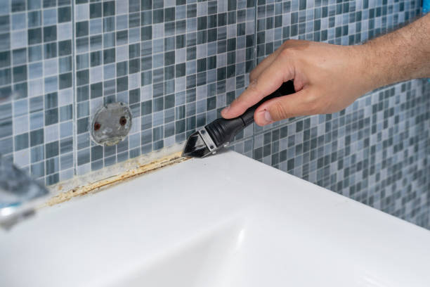 Best Best Mold Removal Companies  in Cutler Bay, FL