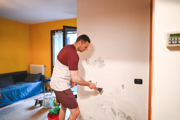 Best Attic Mold Removal  in Cutler Bay, FL
